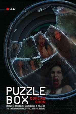 Puzzle Box