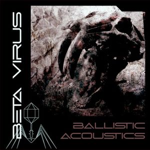 Ballistic Acoustics