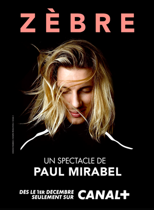 Paul Mirabel - Zèbre