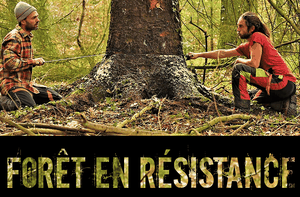 Forêt en résistance