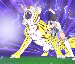 image-https://media.senscritique.com/media/000022235268/0/captain_tsubasa_tatakae_dream_team.jpg