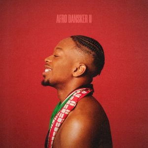 AFRO DANSKER II (EP)