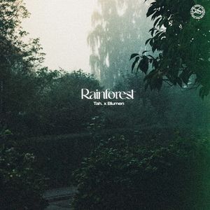 Rainforest (Single)