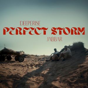 Perfect Storm (Single)