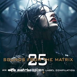 Sounds From The Matrix 025