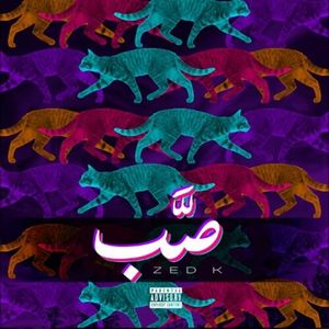 صب (Single)