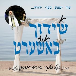 א שידוך איז באשערט - י"ט