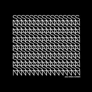 SN 2022 SS