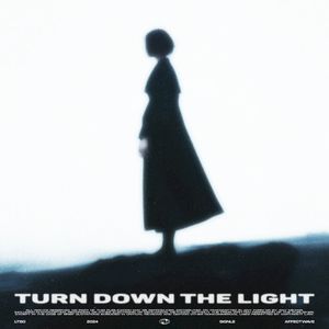 Turn Down The Lights (Single)