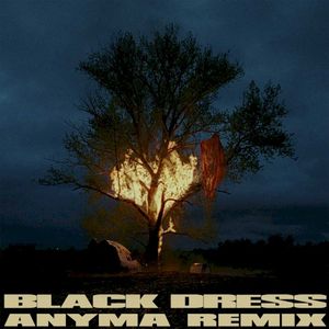 Black Dress (Anyma Remix) (Single)