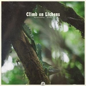 Climb on Lichens (Single)