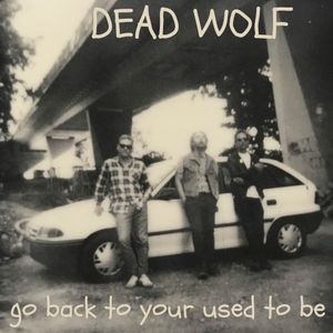 Go Back to Your Used to Be (Single)