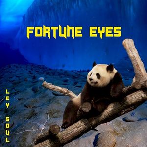 Fortune Eyes (Single)