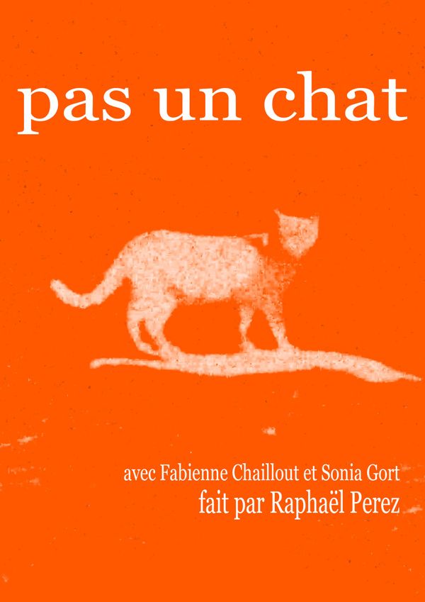 Pas un chat