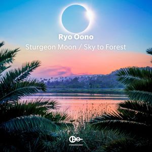 Sturgeon Moon / Sky to Forest (Single)