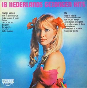 16 Nederlands gezongen hits