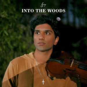 Into the Woods (Single)