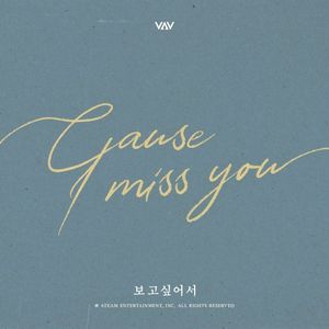 Cause I Miss You (Single)