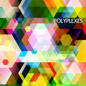 Polyplexes (EP)