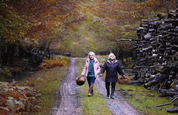 Quand vient l’automne