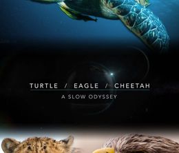 image-https://media.senscritique.com/media/000022257871/0/turtle_eagle_cheetah_a_slow_odyssey.jpg