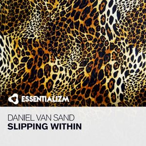 Slipping Within (Single)