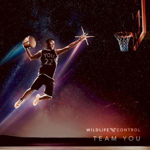 Team You (Single)