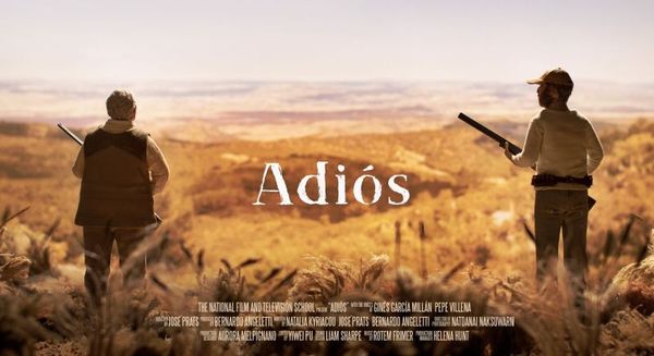 Adiós