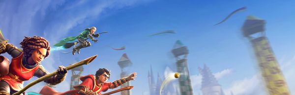 Harry Potter : Champions de Quidditch