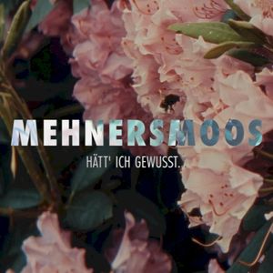 Hätt ich gewusst (Single)