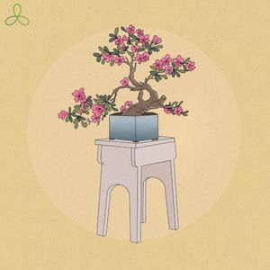 Azalea (Single)