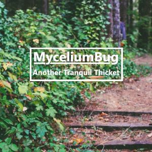 Another Tranquil Thicket (Single)