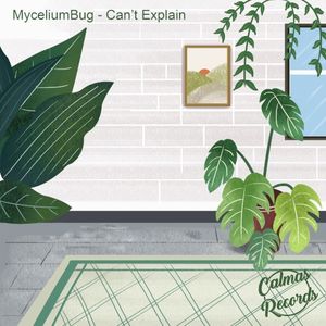 Can’t Explain (Single)