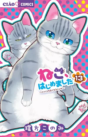 Chat malgré moi, tome 13