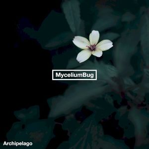 Archipelago (Single)