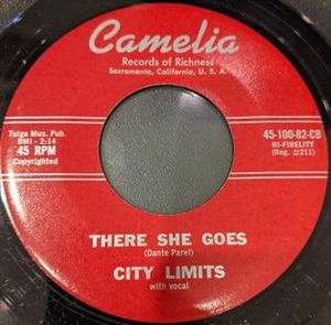 There She Goes (Single)