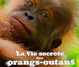 image-https://media.senscritique.com/media/000022272971/0/la_vie_secrete_des_orangs_outans.jpg