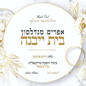 בית ייבנה (Single)