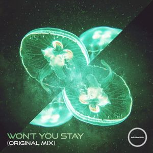 Won’t You Stay (Single)