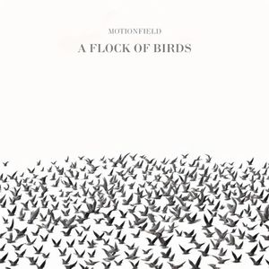 A Flock of Birds