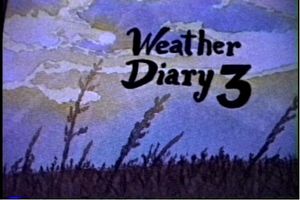 Weather Diary 3