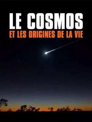 L’apport des trous noirs | Le cosmos et les origines de la vie
