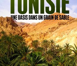 image-https://media.senscritique.com/media/000022278838/0/tunisie_une_oasis_dans_un_grain_de_sable.jpg