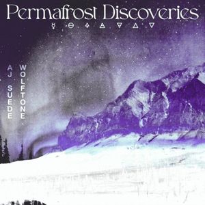 Permafrost Discoveries