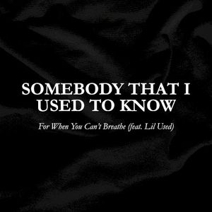 Somebody That I Used To Know (Single)