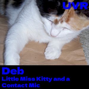 Little Miss Kitty and a Contact Mic (Single)