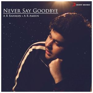 Never Say Goodbye