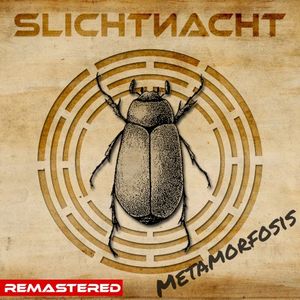 Metamorfosis (Hate of Shadows cover) (Single)