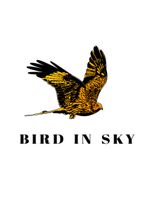 Bird in Sky