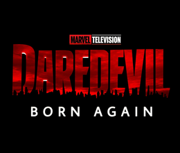 image-https://media.senscritique.com/media/000022287531/0/daredevil_born_again.png